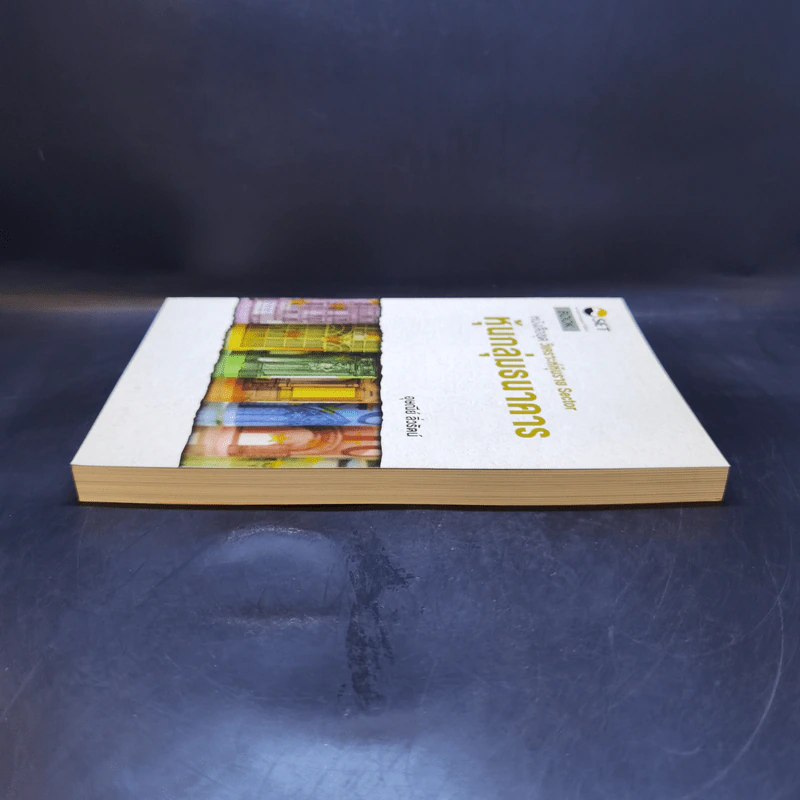 หนังสือชุดวิเคราะห์หุ้นราย Sector หุ้นกลุ่มธนาคาร - อุษณีย์ ลิ่วรัตน์ รูปที่ 5