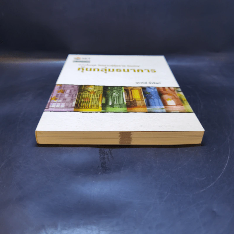 หนังสือชุดวิเคราะห์หุ้นราย Sector หุ้นกลุ่มธนาคาร - อุษณีย์ ลิ่วรัตน์ รูปที่ 4