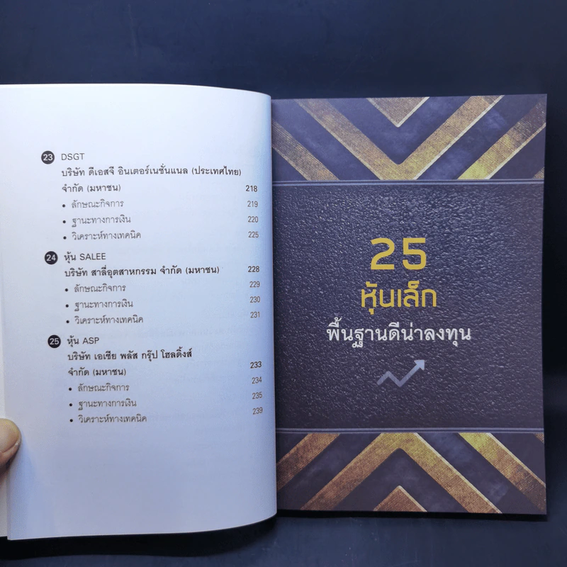 เล่นหุ้นตัวเล็กก็รวยใหญ่ได้ รูปที่ 13