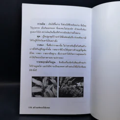 สร้างอาชีพจากไม้มงคล - หมอเกษตร รูปที่ 13