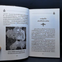 คู่มือการปลูกกล้วยไม้ รูปที่ 11