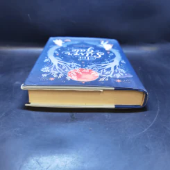 The Silver Gate - Kristin Bailey รูปที่ 6