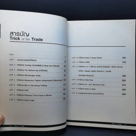 Trick of the Trade กราฟไม่เคยหลอกใคร และ มันเป็นเช่นนั้นเสมอ รูปที่ 11