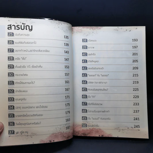 งานไม่ประจำทำเงินกว่า - วิสูตร แสงอรุณเลิศ รูปที่ 12