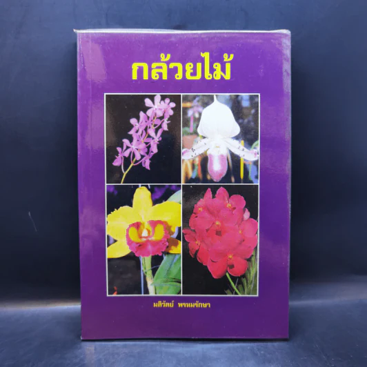 กล้วยไม้ - มลิวัลย์ พรหมรักษา รูปที่ 1