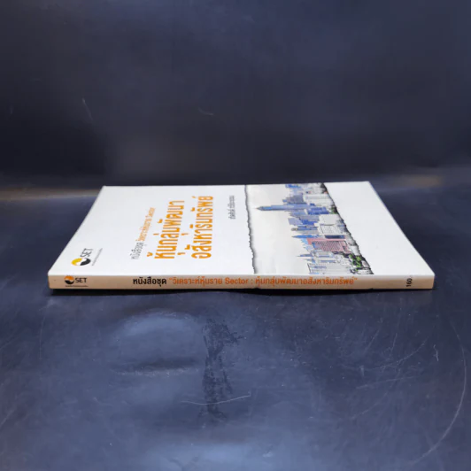 หนังสือชุดวิเคราะห์หุ้นราย Sector หุ้นกลุ่มพัฒนาอสังหาริมทรัพย์ - เทิดศักดิ์ ทวีธีระธรรม รูปที่ 3