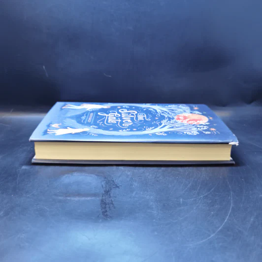The Silver Gate - Kristin Bailey รูปที่ 5