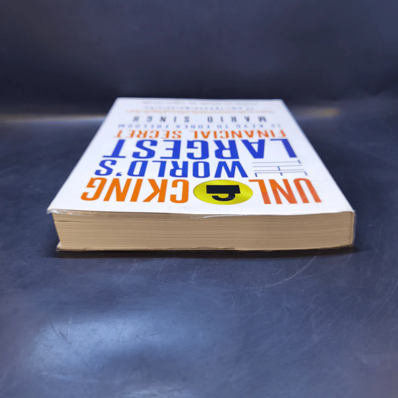 Unlock World's Largest Financial Secret ไขความลับตลาดการเงินที่ใหญ่ที่สุดในโลก - Mario Singh รูปที่ 6