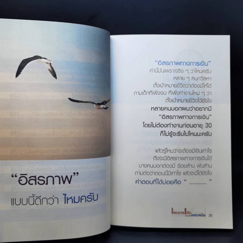 แผนการเงิน ฉบับใช้ได้ตลอดชีพ - มงคล ลุสัมฤทธิ์ รูปที่ 11