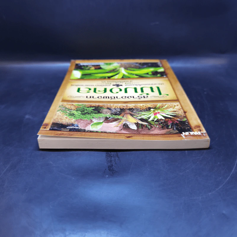 สร้างอาชีพจากไม้มงคล - หมอเกษตร รูปที่ 6