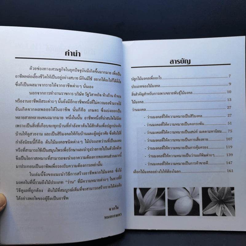 สร้างอาชีพจากไม้มงคล - หมอเกษตร รูปที่ 11