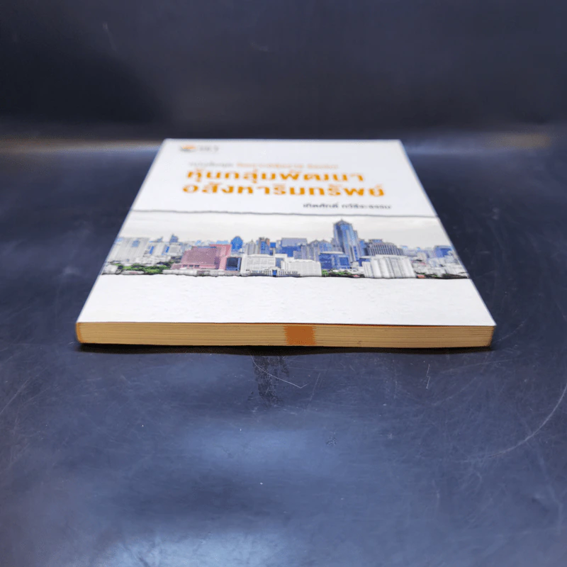 หนังสือชุดวิเคราะห์หุ้นราย Sector หุ้นกลุ่มพัฒนาอสังหาริมทรัพย์ - เทิดศักดิ์ ทวีธีระธรรม รูปที่ 4
