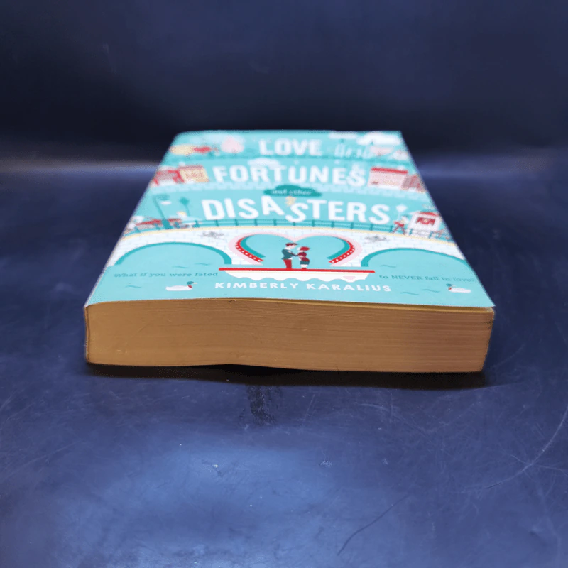 Love Fortunes and Other Disasters - Kimberly Karalius รูปที่ 4