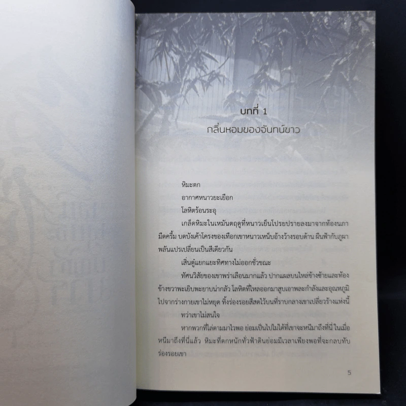 นิยายวาย พันพุทธะบัญชามาร เล่ม 1 - สือจิ้ง รูปที่ 10