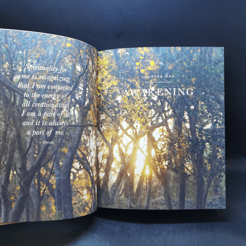 The Wisdom of Sundays Boxset + 2 Books - Oprah Winfrey รูปที่ 15