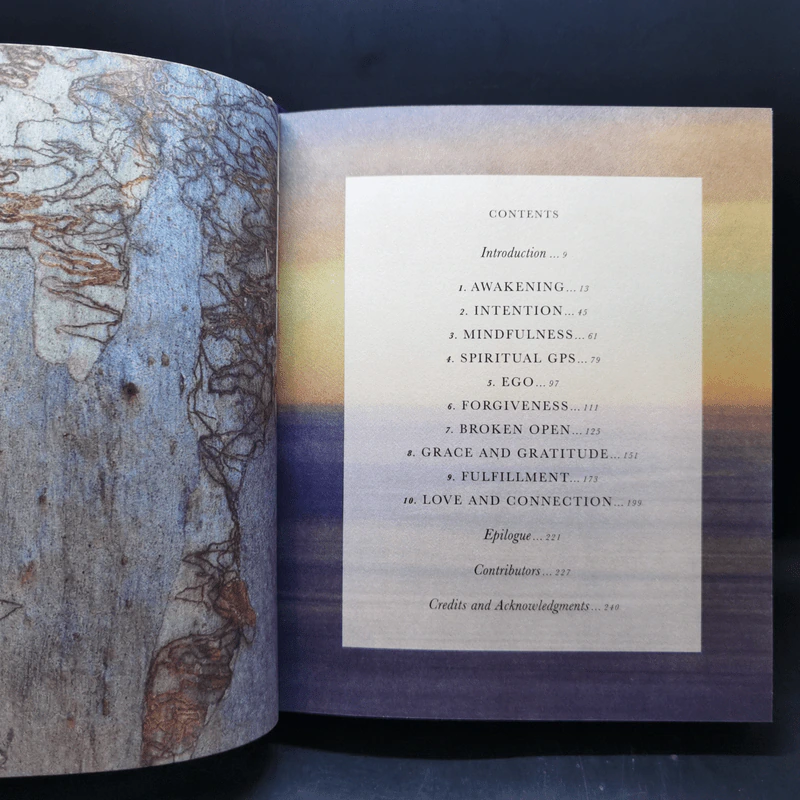 The Wisdom of Sundays Boxset + 2 Books - Oprah Winfrey รูปที่ 14