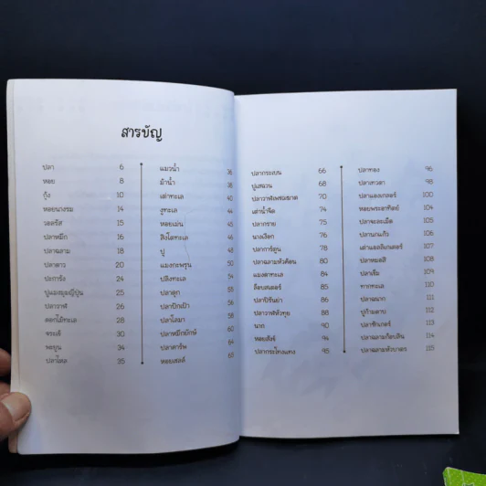 หัดวาดสัตว์น้ำ + ผัก ผลไม้ + ขนมหวาน สไตล์ฟรุ้งฟริ้ง รูปที่ 8
