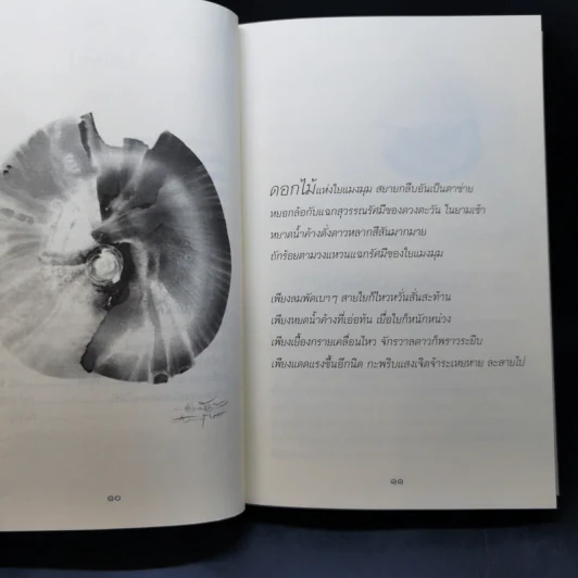 ความจริงไม่มีใครทุกข์ - พระครูใบฎีกาอำนาจ โอภาโส รูปที่ 11