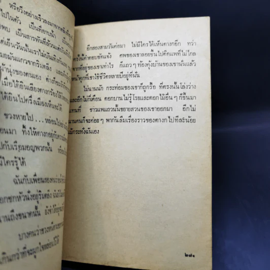 เรื่องสั้น สวนสัตว์ - สุวรรณี สุคนธา รูปที่ 10