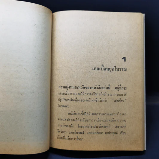 เลสเบี้ยน: กามวิตถาร - พิชัย รัตนประทีป รูปที่ 11