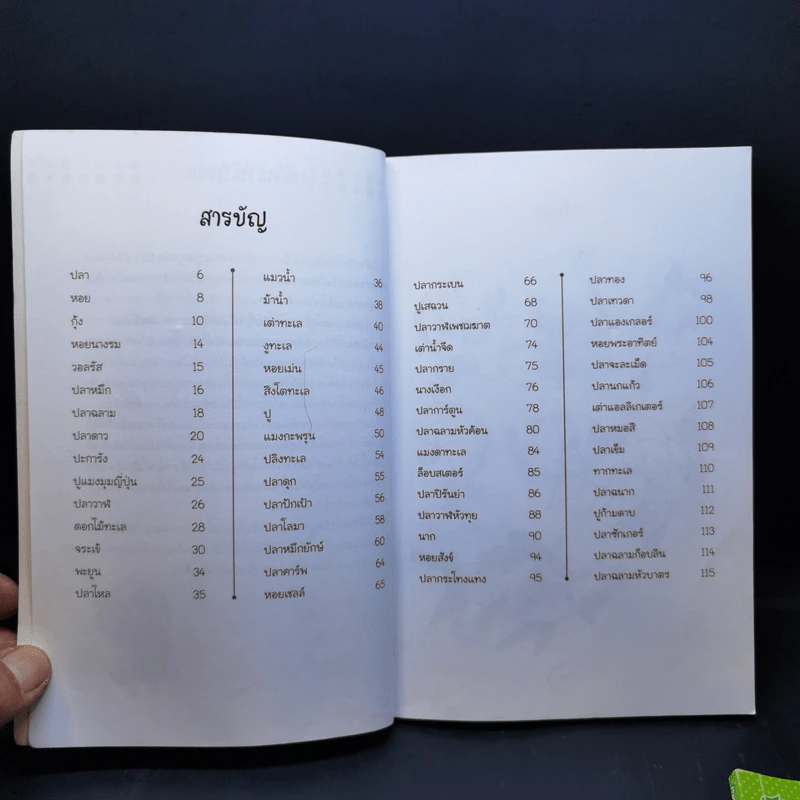 หัดวาดสัตว์น้ำ + ผัก ผลไม้ + ขนมหวาน สไตล์ฟรุ้งฟริ้ง รูปที่ 8