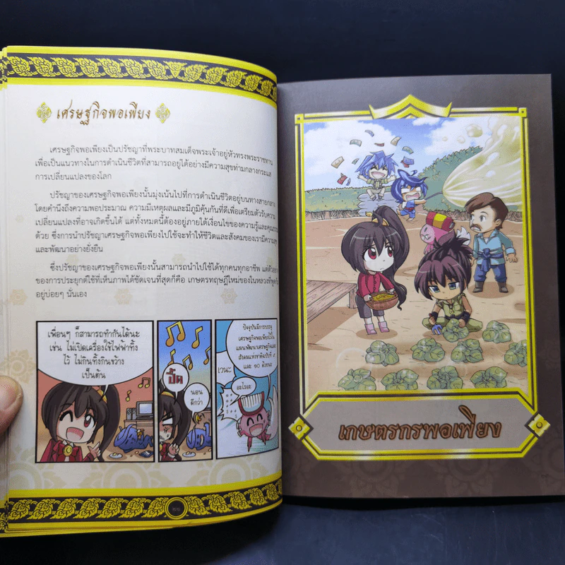 การ์ตูนความรู้ เหตุการณ์สำคัญในรัชสมัยของรัชกาลที่ 9 รูปที่ 12