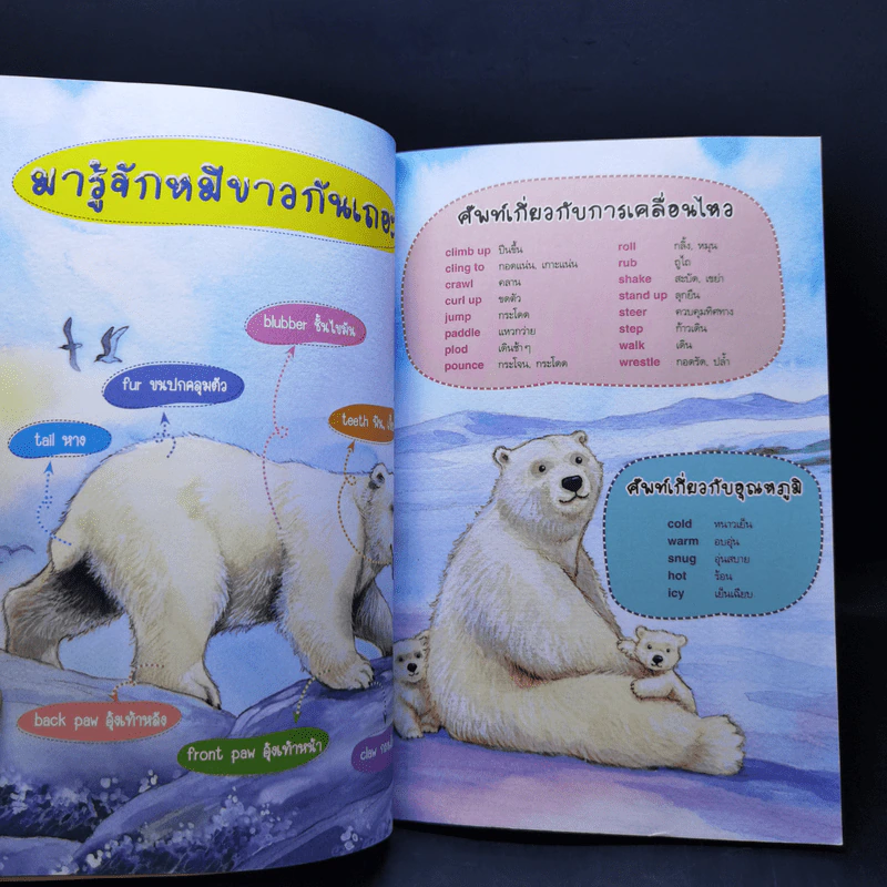 Polar Bears โลกน่ารู้ของเจ้าหมีขาวขั้วโลก - Se-Ed First Readers Stage 4 รูปที่ 11