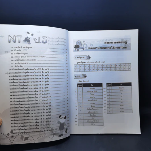 คู่มือเตรียมสอบ NT ป.5 ภาษาไทย รูปที่ 10