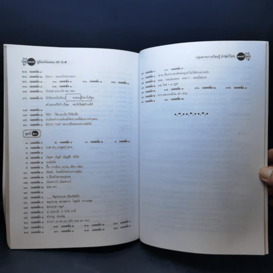 คู่มือเตรียมสอบ NT ป.5 ภาษาไทย รูปที่ 11
