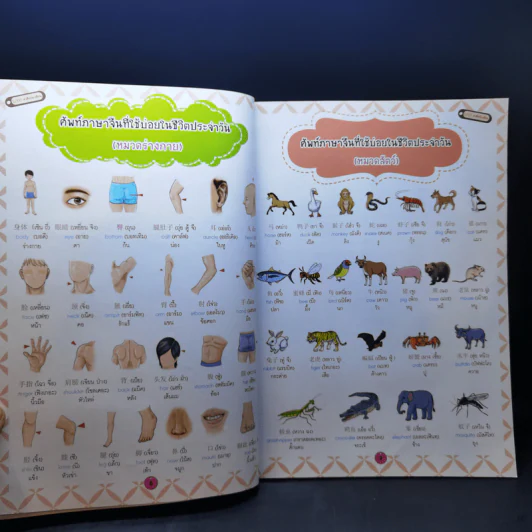 5,000 คำศัพท์อาเซียน หนังสือภาพชุดคำศัพท์ภาษาอาเซียน รูปที่ 12