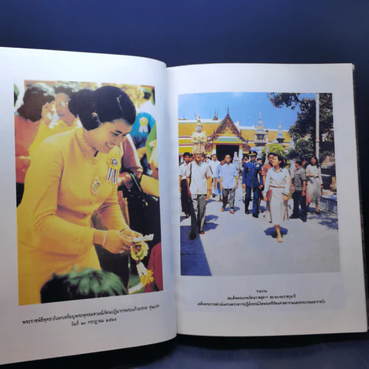 สมเด็จพระเทพฯ ของปวงประชา ปิยชาติสยามบรมราชกุมารี ดาวประจำเมือง รูปที่ 11