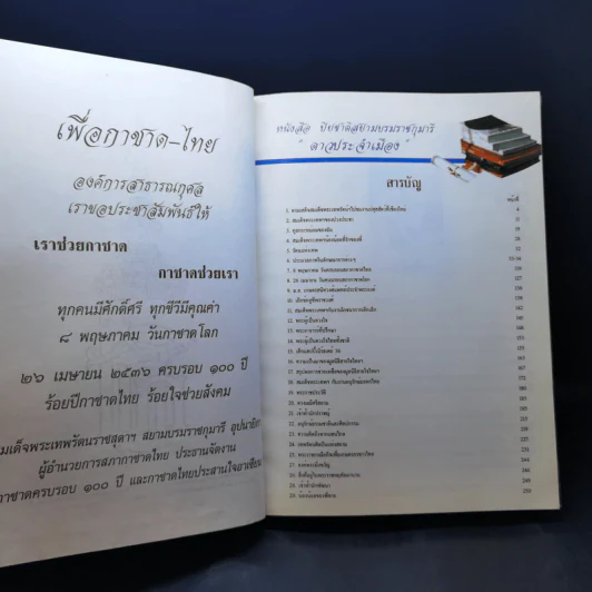 สมเด็จพระเทพฯ ของปวงประชา ปิยชาติสยามบรมราชกุมารี ดาวประจำเมือง รูปที่ 8