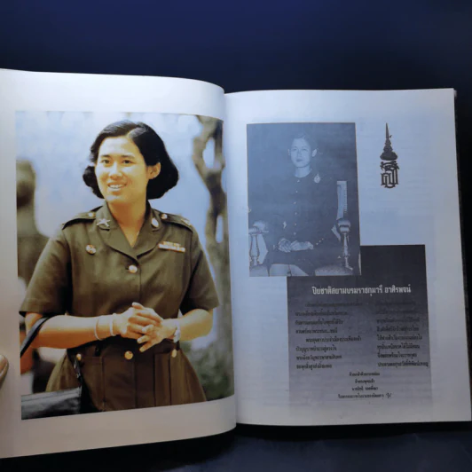 สมเด็จพระเทพฯ ของปวงประชา ปิยชาติสยามบรมราชกุมารี ดาวประจำเมือง รูปที่ 12