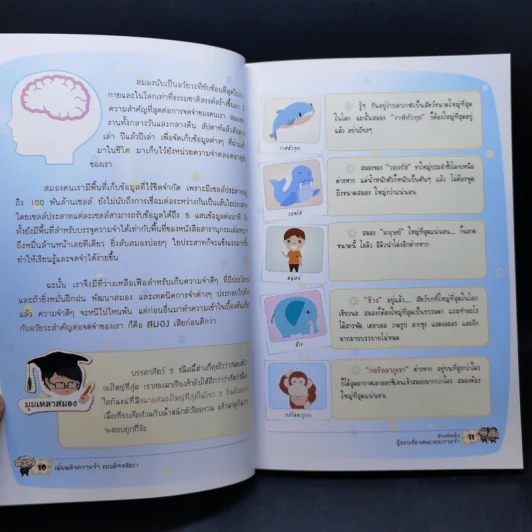 เพิ่มพลังความจำแบบอัจฉริยะ Memory Power Up - ลุงไอน์สไตน์ รูปที่ 12