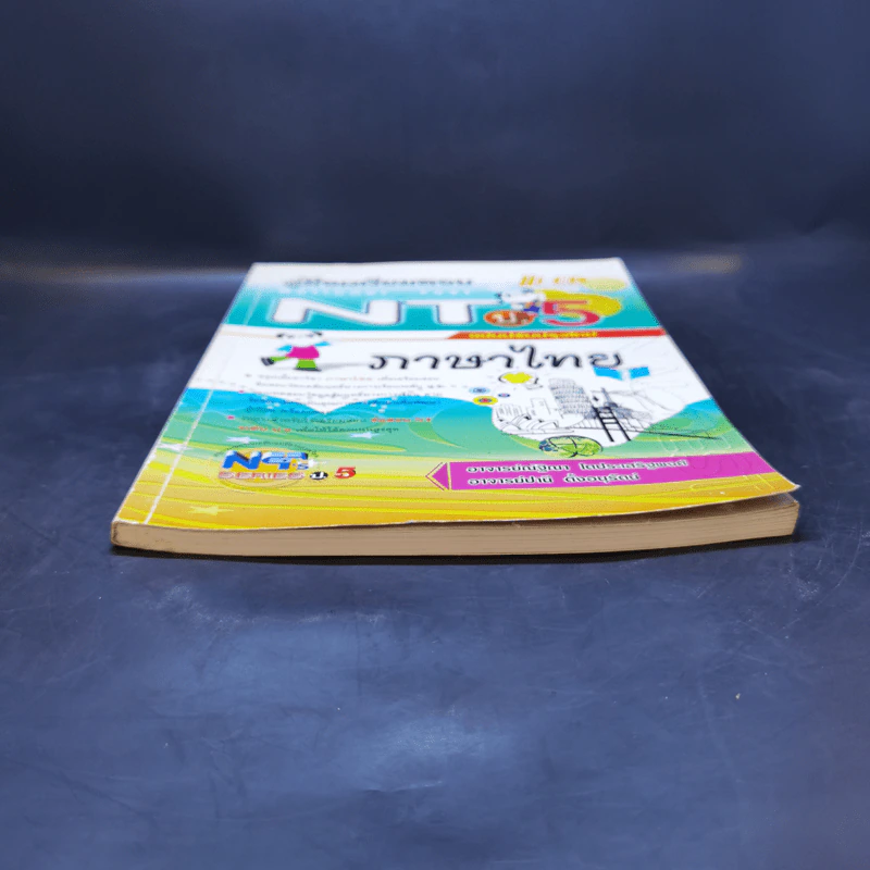 คู่มือเตรียมสอบ NT ป.5 ภาษาไทย รูปที่ 4
