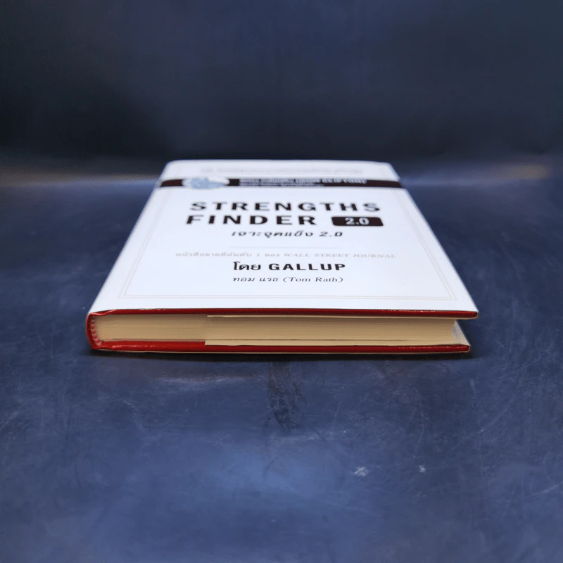 Strengths Finder 2.0 เจาะจุดแข็ง - Gallup รูปที่ 4
