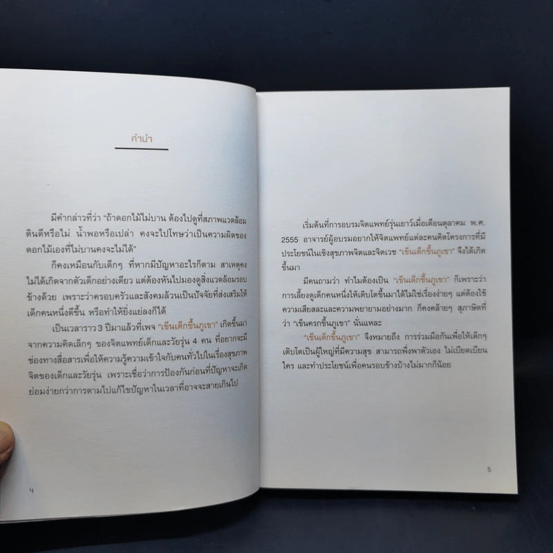 เข็นเด็กขึ้นภูเขา - พ.ญ. เบญจพร ตันตสูติ รูปที่ 9