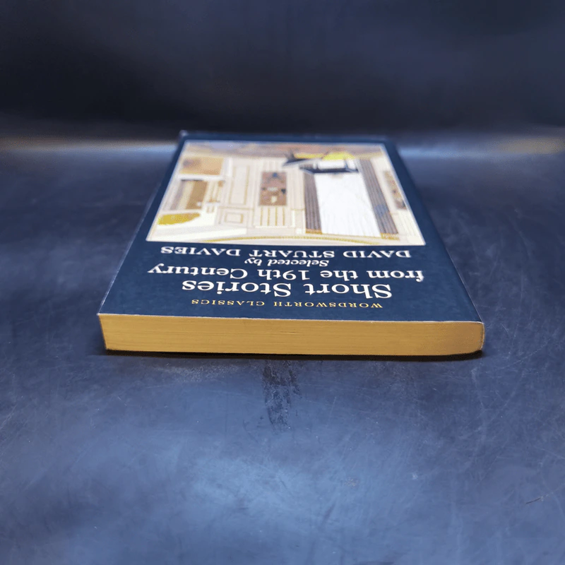 Short Stories from the 19th Century - David Stuart Davies รูปที่ 6
