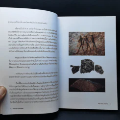 How Data Works - สุณีภรณ์ โอวภากรณ์ รูปที่ 11