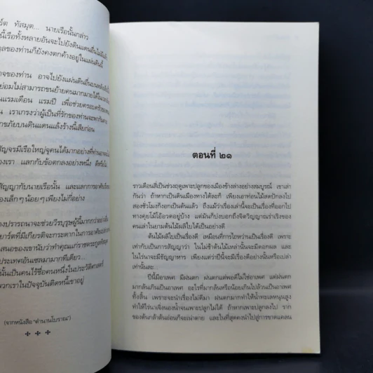 เซรีญา 3 เล่มจบ - พัณณิดา ภูมิวัฒน์ รูปที่ 10