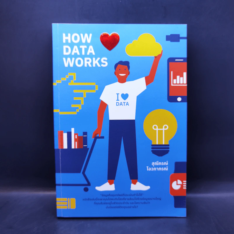 How Data Works - สุณีภรณ์ โอวภากรณ์ รูปที่ 1