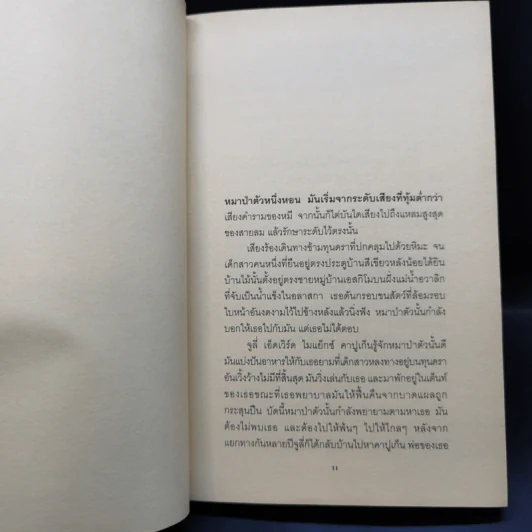 Julie ผจญฝูงหมาป่าขั้วโลก ภาค 1-3 - จีน เคร็กเฮด จอร์จ รูปที่ 13