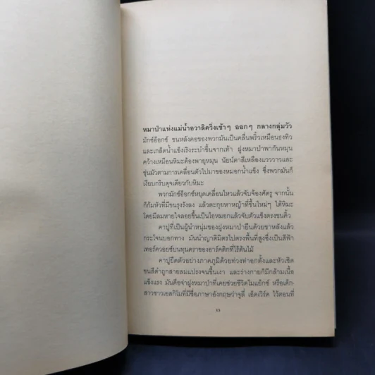 Julie ผจญฝูงหมาป่าขั้วโลก ภาค 1-3 - จีน เคร็กเฮด จอร์จ รูปที่ 17