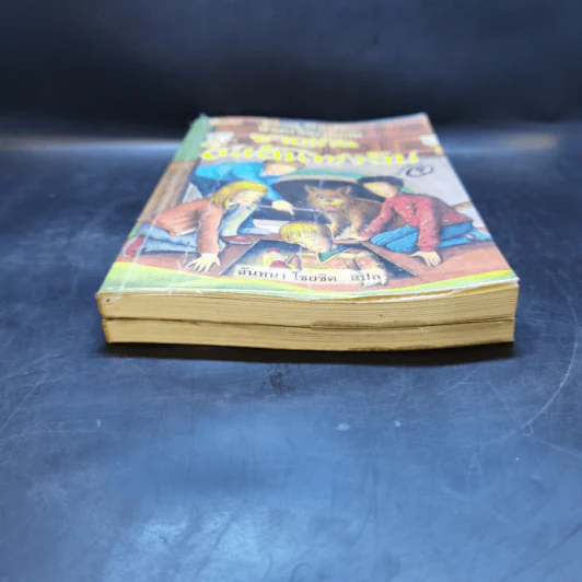 ห้าสหายผจญภัย เล่ม 1-2 รูปที่ 4
