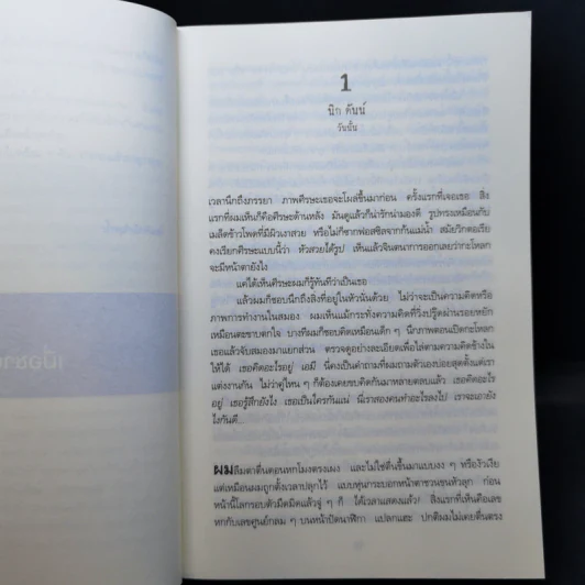 เล่นซ่อนหาย GONE GIRL - Gillian Flynn รูปที่ 10