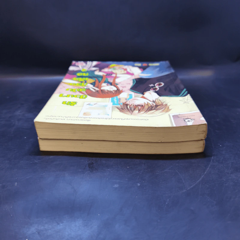 นิยายแจ่มใส รักป่วนๆฉบับก๊วนเด็กหอ 2 เล่มจบ - may112 รูปที่ 6