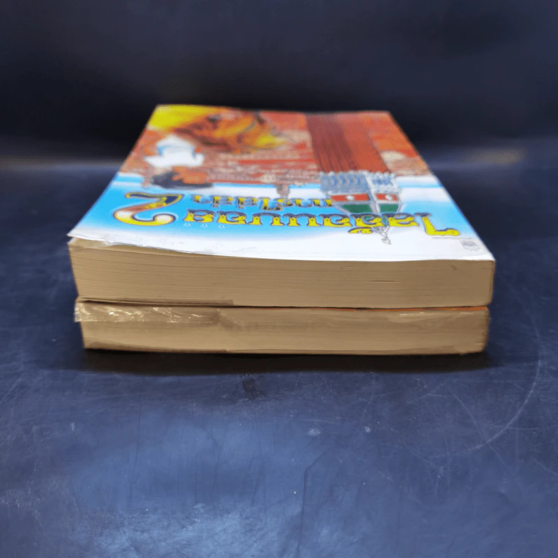 ไลอ้อนบอย เล่ม 1-2 - ซิซู คอร์เดอร์ รูปที่ 6