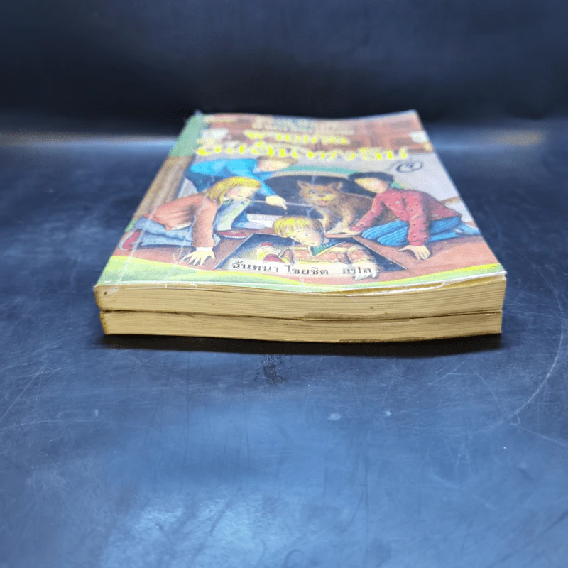 ห้าสหายผจญภัย เล่ม 1-2 รูปที่ 4
