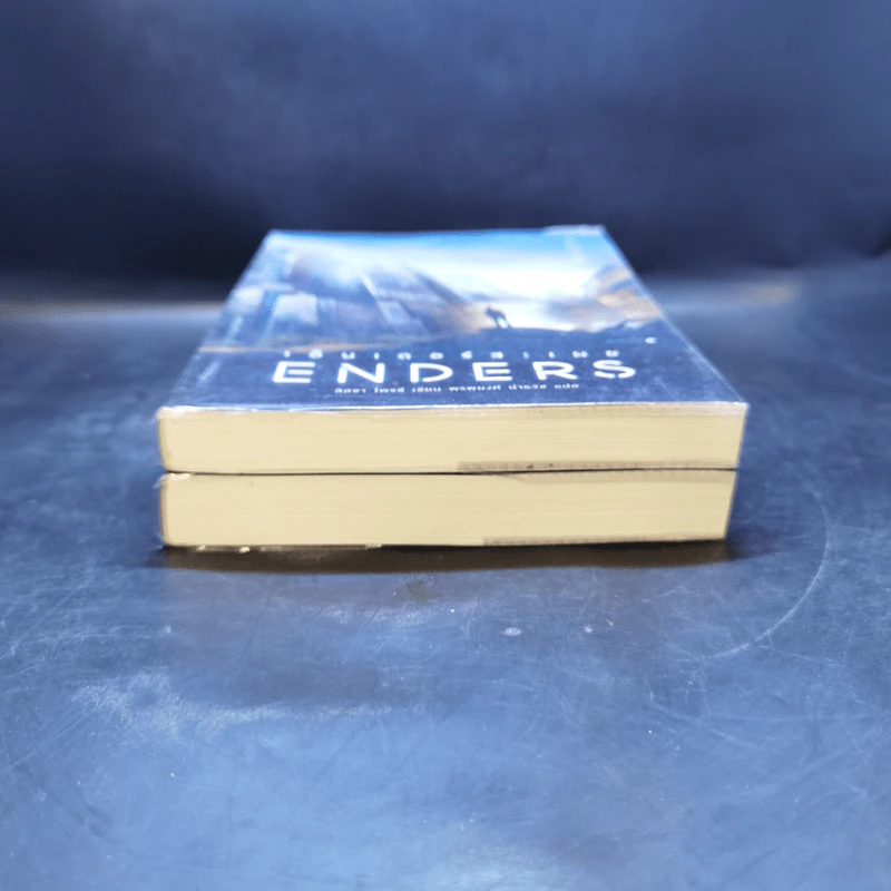 สตาร์ตเตอร์ : พราง Starters + เอ็นเดอร์ส : เผย Enders - Lissa Price (ลิสซา ไพรซ์) รูปที่ 3