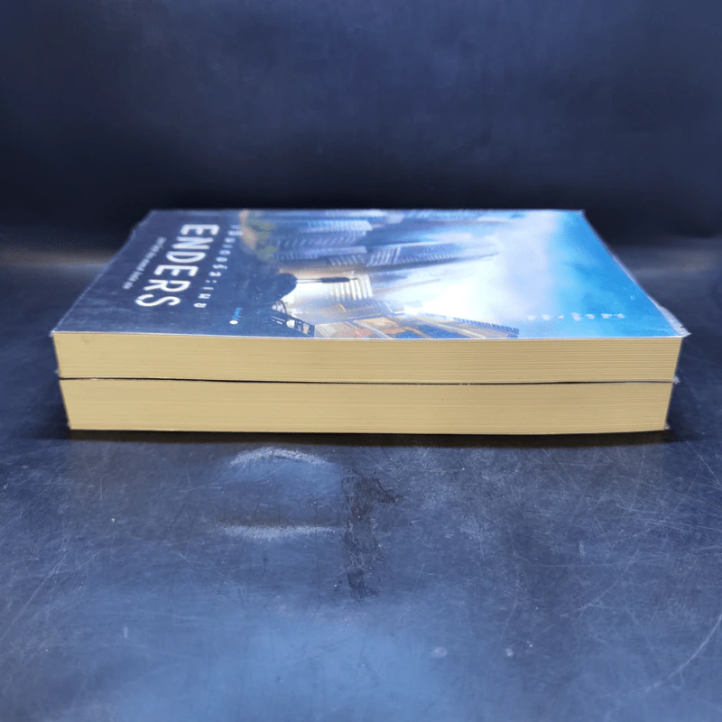 สตาร์ตเตอร์ : พราง Starters + เอ็นเดอร์ส : เผย Enders - Lissa Price (ลิสซา ไพรซ์) รูปที่ 4